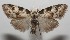  ( - 17-SRNP-104379)  @13 [ ] CreativeCommons - Attribution Non-Commercial Share-Alike (2018) Daniel H. Janzen Guanacaste Dry Forest Conservation Fund
