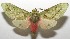  ( - 17-SRNP-104540)  @14 [ ] CreativeCommons - Attribution Non-Commercial Share-Alike (2018) Daniel H. Janzen Guanacaste Dry Forest Conservation Fund