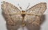  ( - 17-SRNP-104622)  @13 [ ] CreativeCommons - Attribution Non-Commercial Share-Alike (2018) Daniel H. Janzen Guanacaste Dry Forest Conservation Fund