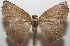  ( - 17-SRNP-104626)  @11 [ ] CreativeCommons - Attribution Non-Commercial Share-Alike (2018) Daniel H. Janzen Guanacaste Dry Forest Conservation Fund