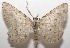  ( - 17-SRNP-104673)  @14 [ ] CreativeCommons - Attribution Non-Commercial Share-Alike (2018) Daniel H. Janzen Guanacaste Dry Forest Conservation Fund