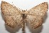  ( - 17-SRNP-104722)  @14 [ ] CreativeCommons - Attribution Non-Commercial Share-Alike (2018) Daniel H. Janzen Guanacaste Dry Forest Conservation Fund