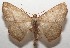  ( - 17-SRNP-104725)  @14 [ ] CreativeCommons - Attribution Non-Commercial Share-Alike (2018) Daniel H. Janzen Guanacaste Dry Forest Conservation Fund
