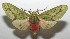  ( - 17-SRNP-104960)  @13 [ ] CreativeCommons - Attribution Non-Commercial Share-Alike (2018) Daniel H. Janzen Guanacaste Dry Forest Conservation Fund