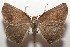  ( - 17-SRNP-105059)  @11 [ ] CreativeCommons - Attribution Non-Commercial Share-Alike (2018) Daniel H. Janzen Guanacaste Dry Forest Conservation Fund