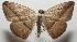  ( - 17-SRNP-105304)  @11 [ ] CreativeCommons - Attribution Non-Commercial Share-Alike (2018) Daniel H. Janzen Guanacaste Dry Forest Conservation Fund