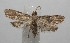  ( - 17-SRNP-105669)  @13 [ ] CreativeCommons - Attribution Non-Commercial Share-Alike (2018) Daniel H. Janzen Guanacaste Dry Forest Conservation Fund