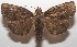  ( - 17-SRNP-105820)  @13 [ ] CreativeCommons - Attribution Non-Commercial Share-Alike (2018) Daniel H. Janzen Guanacaste Dry Forest Conservation Fund