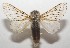  ( - 17-SRNP-105853)  @11 [ ] CreativeCommons - Attribution Non-Commercial Share-Alike (2018) Daniel H. Janzen Guanacaste Dry Forest Conservation Fund