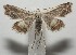  ( - 17-SRNP-106386)  @11 [ ] CreativeCommons - Attribution Non-Commercial Share-Alike (2018) Daniel H. Janzen Guanacaste Dry Forest Conservation Fund