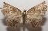  ( - 17-SRNP-106740)  @11 [ ] CreativeCommons - Attribution Non-Commercial Share-Alike (2018) Daniel H. Janzen Guanacaste Dry Forest Conservation Fund