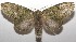  ( - 17-SRNP-106907)  @14 [ ] CreativeCommons - Attribution Non-Commercial Share-Alike (2018) Daniel H. Janzen Guanacaste Dry Forest Conservation Fund