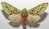  ( - 17-SRNP-106988)  @13 [ ] CreativeCommons - Attribution Non-Commercial Share-Alike (2018) Daniel H. Janzen Guanacaste Dry Forest Conservation Fund