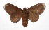  ( - 17-SRNP-35110)  @13 [ ] CreativeCommons  Attribution Non-Commercial Share-Alike (2019) Daniel H. Janzen Guanacaste Dry Forest Conservation Fund