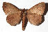  ( - 17-SRNP-70640)  @12 [ ] CreativeCommons - Attribution Non-Commercial Share-Alike (2018) Daniel H. Janzen Guanacaste Dry Forest Conservation Fund
