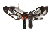  ( - 17-SRNP-75562)  @13 [ ] CreativeCommons  Attribution Non-Commercial Share-Alike (2019) Daniel H. Janzen Guanacaste Dry Forest Conservation Fund