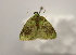  ( - 17-SRNP-76325)  @11 [ ] CreativeCommons  Attribution Non-Commercial Share-Alike (2023) Daniel H. Janzen Guanacaste Dry Forest Conservation Fund