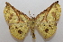  ( - 18-SRNP-1324)  @11 [ ] CreativeCommons  Attribution Non-Commercial Share-Alike (2023) Daniel H. Janzen Guanacaste Dry Forest Conservation Fund