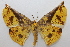  ( - 18-SRNP-1324)  @11 [ ] CreativeCommons  Attribution Non-Commercial Share-Alike (2023) Daniel H. Janzen Guanacaste Dry Forest Conservation Fund