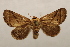  ( - 18-SRNP-1634)  @11 [ ] CreativeCommons  Attribution Non-Commercial Share-Alike (2023) Daniel H. Janzen Guanacaste Dry Forest Conservation Fund