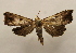  ( - 18-SRNP-1692)  @11 [ ] CreativeCommons  Attribution Non-Commercial Share-Alike (2023) Daniel H. Janzen Guanacaste Dry Forest Conservation Fund