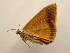  ( - 18-SRNP-20179)  @11 [ ] CreativeCommons  Attribution Non-Commercial Share-Alike (2023) Daniel H. Janzen Guanacaste Dry Forest Conservation Fund