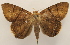  ( - 18-SRNP-20585)  @11 [ ] CreativeCommons  Attribution Non-Commercial Share-Alike (2023) Daniel H. Janzen Guanacaste Dry Forest Conservation Fund