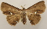  ( - 18-SRNP-2354)  @11 [ ] CreativeCommons  Attribution Non-Commercial Share-Alike (2023) Daniel H. Janzen Guanacaste Dry Forest Conservation Fund