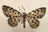  ( - 18-SRNP-27389)  @11 [ ] CreativeCommons  Attribution Non-Commercial Share-Alike (2023) Daniel H. Janzen Guanacaste Dry Forest Conservation Fund