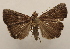  ( - 18-SRNP-45812)  @11 [ ] CreativeCommons  Attribution Non-Commercial Share-Alike (2023) Daniel H. Janzen Guanacaste Dry Forest Conservation Fund