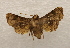  ( - 18-SRNP-55566)  @11 [ ] CreativeCommons  Attribution Non-Commercial Share-Alike (2023) Daniel H. Janzen Guanacaste Dry Forest Conservation Fund