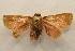  ( - 18-SRNP-57130)  @11 [ ] CreativeCommons  Attribution Non-Commercial Share-Alike (2023) Daniel H. Janzen Guanacaste Dry Forest Conservation Fund