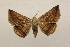  ( - 18-SRNP-71813)  @11 [ ] CreativeCommons  Attribution Non-Commercial Share-Alike (2023) Daniel H. Janzen Guanacaste Dry Forest Conservation Fund