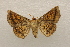  ( - 18-SRNP-71813)  @11 [ ] CreativeCommons  Attribution Non-Commercial Share-Alike (2023) Daniel H. Janzen Guanacaste Dry Forest Conservation Fund