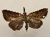  ( - 18-SRNP-76122)  @11 [ ] CreativeCommons  Attribution Non-Commercial Share-Alike (2023) Daniel H. Janzen Guanacaste Dry Forest Conservation Fund