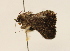  ( - 18-SRNP-80322)  @11 [ ] CreativeCommons  Attribution Non-Commercial Share-Alike (2023) Daniel H. Janzen Guanacaste Dry Forest Conservation Fund