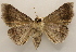  ( - 18-SRNP-80576)  @11 [ ] CreativeCommons  Attribution Non-Commercial Share-Alike (2023) Daniel H. Janzen Guanacaste Dry Forest Conservation Fund