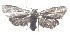  ( - 19-SRNP-102511)  @11 [ ] CreativeCommons  Attribution Non-Commercial Share-Alike (2023) Daniel H. Janzen Guanacaste Dry Forest Conservation Fund