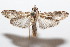 ( - 19-SRNP-104449)  @11 [ ] CreativeCommons  Attribution Non-Commercial Share-Alike (2023) Daniel H. Janzen Guanacaste Dry Forest Conservation Fund