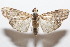  ( - 19-SRNP-104460)  @11 [ ] CreativeCommons  Attribution Non-Commercial Share-Alike (2023) Daniel H. Janzen Guanacaste Dry Forest Conservation Fund
