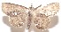  ( - 19-SRNP-104530)  @11 [ ] CreativeCommons  Attribution Non-Commercial Share-Alike (2023) Daniel H. Janzen Guanacaste Dry Forest Conservation Fund