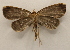  ( - 19-SRNP-1313)  @11 [ ] CreativeCommons  Attribution Non-Commercial Share-Alike (2023) Daniel H. Janzen Guanacaste Dry Forest Conservation Fund
