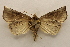  ( - 19-SRNP-20405)  @11 [ ] CreativeCommons  Attribution Non-Commercial Share-Alike (2023) Daniel H. Janzen Guanacaste Dry Forest Conservation Fund