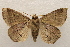  ( - 19-SRNP-20420)  @11 [ ] CreativeCommons  Attribution Non-Commercial Share-Alike (2023) Daniel H. Janzen Guanacaste Dry Forest Conservation Fund