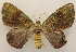  ( - 19-SRNP-20438)  @11 [ ] CreativeCommons  Attribution Non-Commercial Share-Alike (2023) Daniel H. Janzen Guanacaste Dry Forest Conservation Fund