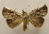  ( - 19-SRNP-20447)  @11 [ ] CreativeCommons  Attribution Non-Commercial Share-Alike (2023) Daniel H. Janzen Guanacaste Dry Forest Conservation Fund