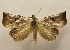  ( - 19-SRNP-20488)  @11 [ ] CreativeCommons  Attribution Non-Commercial Share-Alike (2023) Daniel H. Janzen Guanacaste Dry Forest Conservation Fund