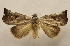  ( - 19-SRNP-20489)  @11 [ ] CreativeCommons  Attribution Non-Commercial Share-Alike (2023) Daniel H. Janzen Guanacaste Dry Forest Conservation Fund