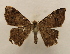  ( - 19-SRNP-26558)  @11 [ ] CreativeCommons  Attribution Non-Commercial Share-Alike (2023) Daniel H. Janzen Guanacaste Dry Forest Conservation Fund