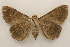  ( - 19-SRNP-27081)  @11 [ ] CreativeCommons  Attribution Non-Commercial Share-Alike (2023) Daniel H. Janzen Guanacaste Dry Forest Conservation Fund
